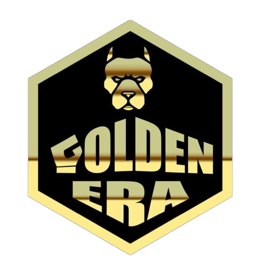 Golden Era Boxing